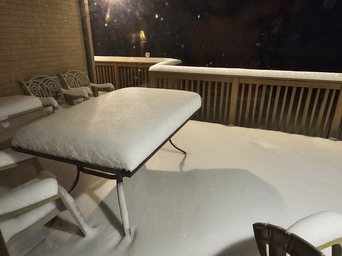 January 31, 2026 Snow at Home